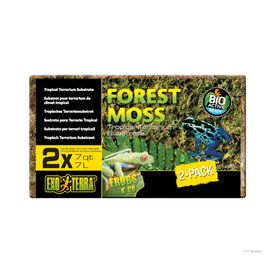 Exo Terra Forest Moss Substrato natural para terr&aacute;rios h&uacute;midos
